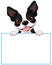 Boston terrier sign