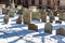 Boston, USA- March 01, 2019: picturesque Boston old graveyard with historic tombstones from the time of revolution and
