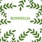 Boswellia in color, border