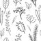 Botanic digital painting, seamless pattern with black plants on white background