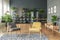 Botanic living room interior with dark walls and wooden furniture such as armchairs, table, bench and cupboard