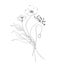 Botanic outline wildflower bouquet. Hand drawn floral abstract pencil sketch