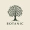 Botanic tree logo mark icon design 3