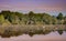 Botanica wetland swamp with  outdoor sunrise