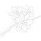 botanical azalea drawing, the national flower of Nepal drawing, rhododendron sketch. simple azalea flower drawing