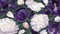 Botanical background in dark colors with realistic spring blooms of white Peony and dark purple Tulips.