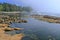 Botanical Beach with Sea Fog on a Summer Day, Juan de Fuca Marine Provincial Park, Vancouver Island, British Columbia
