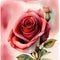 Botanical Beauty - Isolated Watercolor Red Rose Illustration for Storybook Art