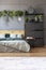 Botanical bedroom interior with a double bed, black cabinet and