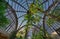 Botanical Bldg Balboa Park Dome