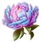 Botanical Bliss: Blue, Violet, and Pink Peony Flower Illustration.