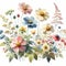 Botanical Bliss, Watercolor, Wildflowers, Clip Art
