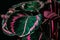 botanical calathea plant with green and pink leaves,