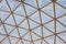 Botanical dome glass roof pattern,