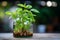 Botanical elegance Tricolor Nephthytis, a green air purifying plant in glass