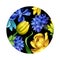 Botanical floral illustration, nature ornament, wild flowers, isolated on black background, blue cornflower, yellow tulip, round