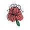 botanical floristic contour flower peonies, poppies tulips open buds and closed. Vector isolated minimalistic terracotta flower