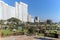 Botanical Garden Against City Skyline on Durban Beachfront