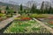 Botanical Garden from Balchik, landmark attraction in Bulgaria. Spring landscape