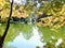 Botanical Garden bridge with tree reflections.