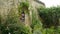 Botanical garden at Canon Castle, France
