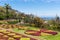 Botanical garden of Funchal at Portugese Madeira Island