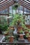 Botanical garden glass greenhouse with plants in terracotta