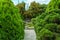 Botanical garden with green shrubs and flowers. Decorative thuja grows in the garden of a private house. Landscaping, stone paths