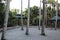 Botanical garden, paved area at Florida Institute of Technology, Melbourne Florida