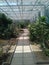 Botanical garden paved path in the cactus house