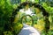 Botanical Garden Singapore, path with blooming small yellow orchids arches in Singapore National Orchid Garden