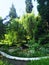Botanical Garden in summer time, greenery, path throw and willow, Thuja trees, grass. Sunny beauty landscape design