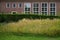 Botanical Garden with Typical Brick Building in MÃ¼nster, Germany