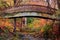 Botanical Gardens Arched Bridge Asheville During Fall