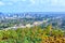 Botanical Haven: Los Angeles Panorama from Getty Center\\\'s Cactus Garden