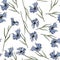 Botanical Illustration of cartoony wildflowers. Summer background, grass and cornflowers. Seamless pattern.