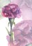 Botanical illustration in watercolor on a delicate pink background one carnation flower on a green stem fuchsia color