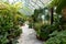 Botanical indoor greenhouse with plants and flowers