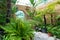 Botanical indoor greenhouse with plants and flowers