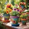 Botanical Oasis: Vibrant Handcrafted Flowerpots Enchanting Every Corner