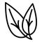 Botanical plant icon outline vector. Oregano leaf
