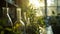 botanical research plant sample in glass flasks in laboratory with sunlight