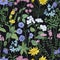 Botanical seamless pattern with elegant blooming flowers, inflorescences and herbs on black background. Floral backdrop