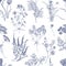 Botanical seamless pattern with meadow herbs, flowering plants and blooming wild flowers hand drawn with blue lines on