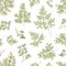 Botanical seamless pattern with Miracle Tree or Moringa oleifera leaves and flowers on white background. Floral backdrop