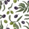 Botanical seamless pattern with organic olive tree branches, leaves, black and green ripe fruits or drupes on white
