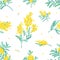 Botanical seamless pattern with yellow mimosa flowers and leaves on white background. Backdrop with elegant flowering