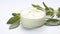 Botanical spa treatment with holistic sage plant. Cream with extract of Sage