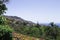 Botanical and tropical garden panoramic view with flowers and palms Funchal,Madeira,Portugal