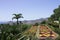 Botanical and tropical garden panoramic view with flowers and palms Funchal,Madeira,Portugal